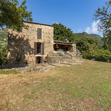 Formicaccia By Interhome