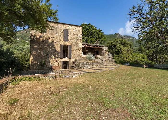 Formicaccia By Interhome