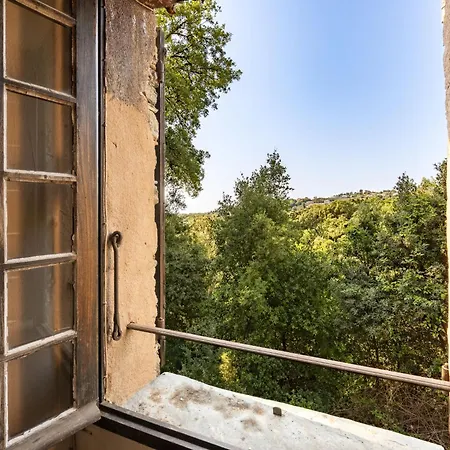 Formicaccia By Interhome Cervione