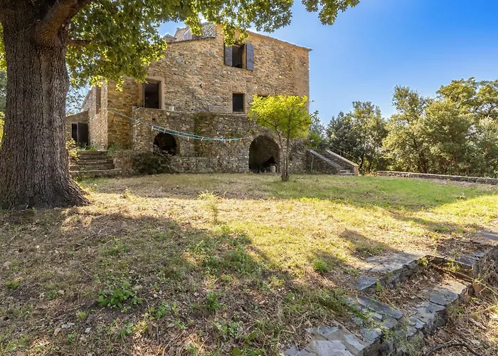 Formicaccia By Interhome Holiday home Cervione